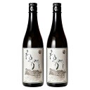 ねっか2本セット(720ml) 米焼酎 お酒 福島県 ねっか