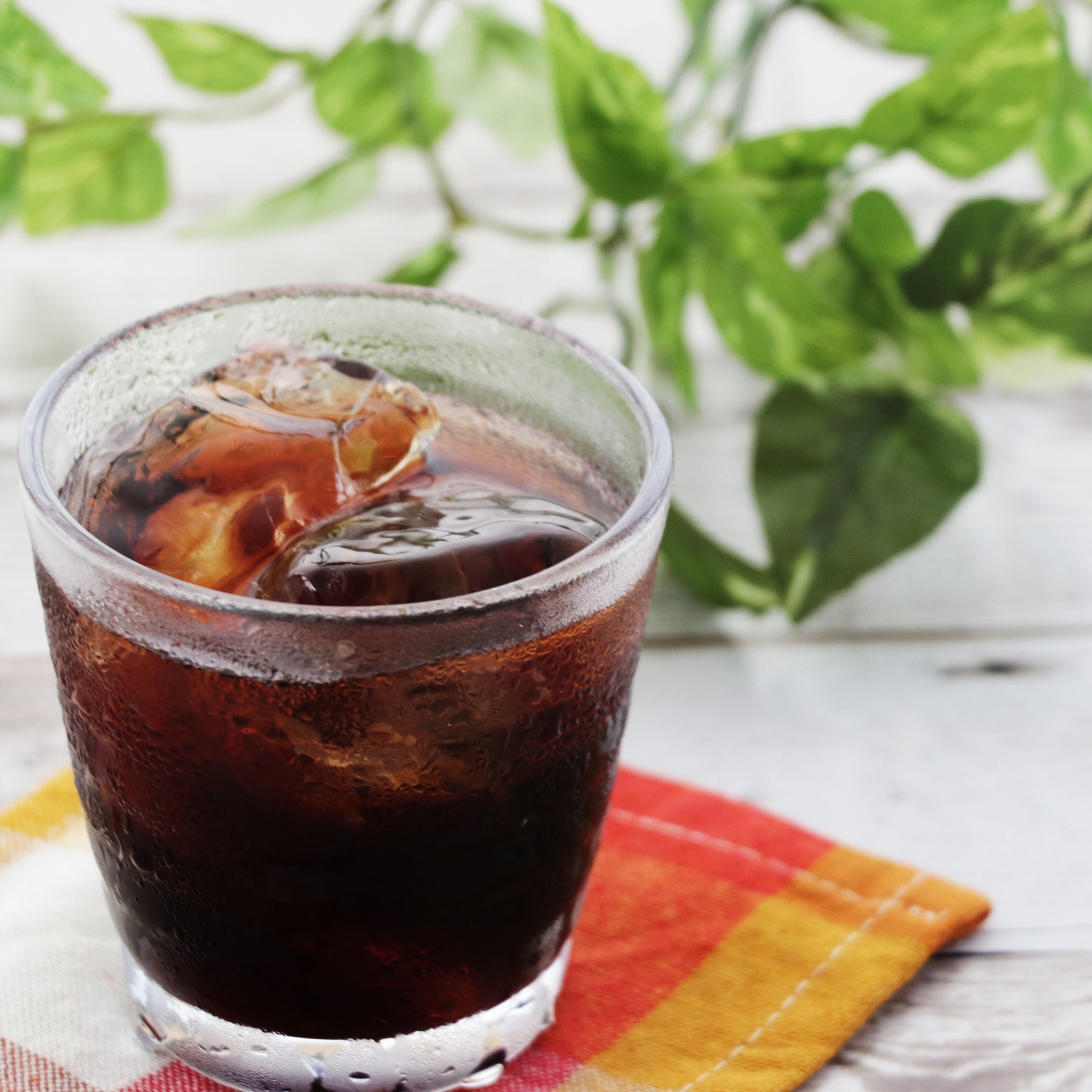 ご自宅用やまつりの冷んやり珈琲6本 簡易ダンボール入 福島県 矢祭町 カフェ 珈琲香坊 福島最南端のカ..