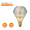 エジソン電球 花形 G95HNT エジソンバルブ LEDフィラメントバルブ レトロランプ 花火 レトロ 照明 アンティーク照明 フェアリー 電球 ペンダントライト レトロ 天井照明