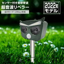 猫よけ 猫避け 猫除け 超音波 動物撃退 防犯 センサー ライト ソーラー 充電 ねこ ネコ 野良猫 駆除 撃退 対策 動物撃退器 リペラー センサーライト 防犯センサー 害獣撃退センサー 鳥よけ コウモリ カラス駆除 避け 防犯アラーム 動物 ネズミ 鼠 害獣 撃退 USB充電