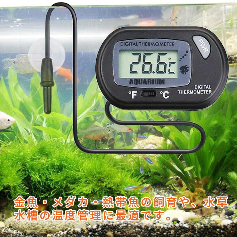 水温計 デジタル 水槽 水温 温度計 気温計 水温 センサー 測定 管理 アクアリウム テラリウム 温度 水槽用水温計 吸盤付き 外部デジタル表示 水温測定 魚用 [3]
