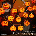 ハロウィン 飾り 電飾 電池式 カボチャ ライト ガーランド ライト かぼちゃ パンプキン お化け 20球 3m 電球色 室内用 ストレート イルミネーション ...