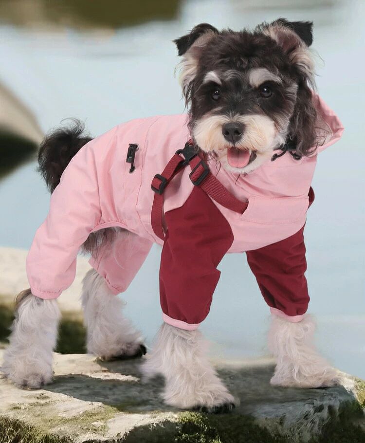 映せば 楽天市場店の犬レインコート 犬用 ハーネス一体型 ペット レインコート カッパ 雨合羽 防水 防雪 防塵 防風 小型犬 中型犬 レインジャケット 梅雨対策 お散歩 不安 アウトドア 雨具 お出かけ｜アングル3