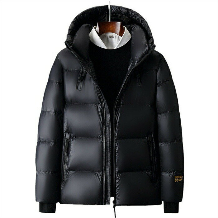 ダウンジャケット メンズ 防寒着 防寒 ダウンコート アウター 中綿ダウン ファッション 暖か あったか 大人 シンプル 無地 軽い 軽量 秋 冬 大きいサイズ 20代30代40代50代 冬服