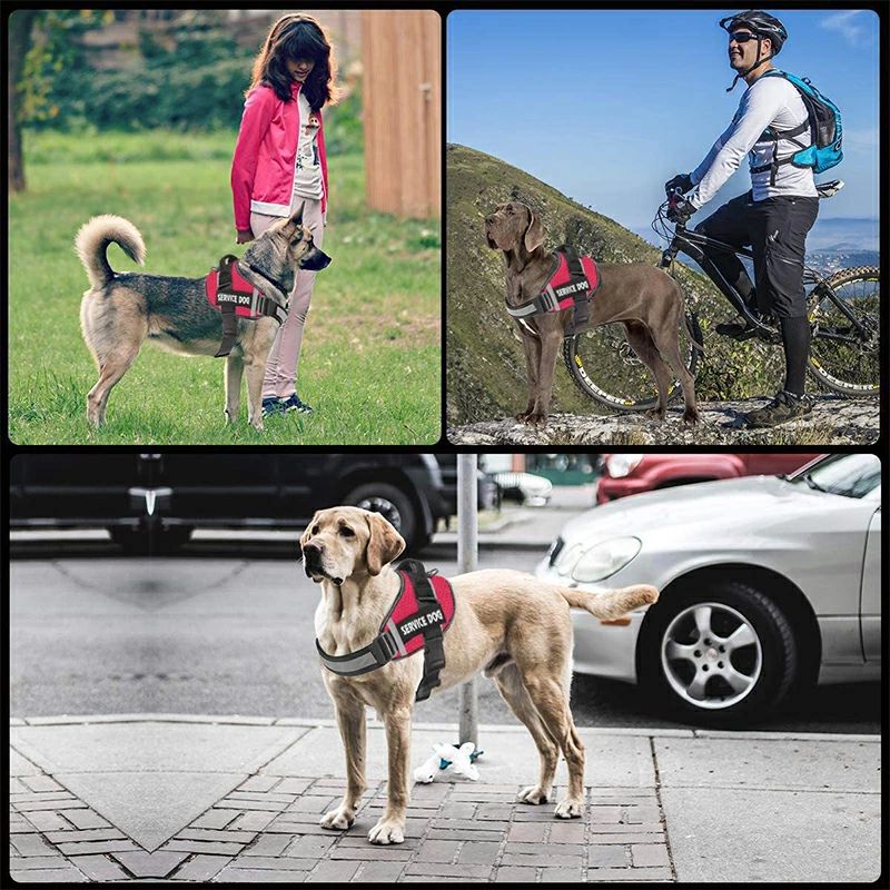 柴犬 脱げにくい 脱げない 抜けにくい 抜けない かわいい 犬のハーネス 犬用ハーネ...