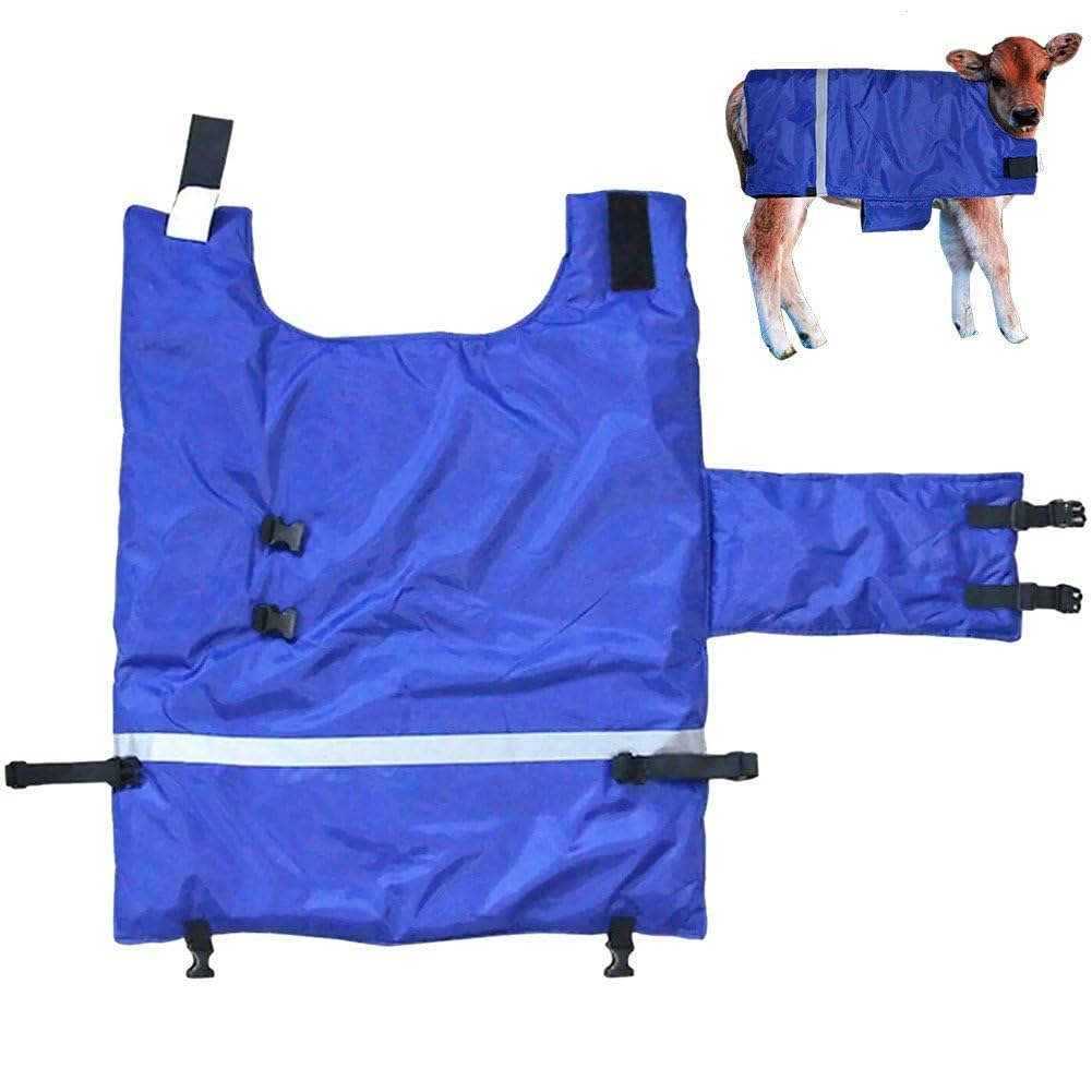 �դ���Ϥ����ɴ��� �դ���Ϥ��Υ����� ʢ���ץ��ƥ����� �ݲ��֥�󥱥å� �ҵ��ѥ����ե��㥱�å� �ɿ女���� �ҵ��ѥ����ե��㥱�å� ������