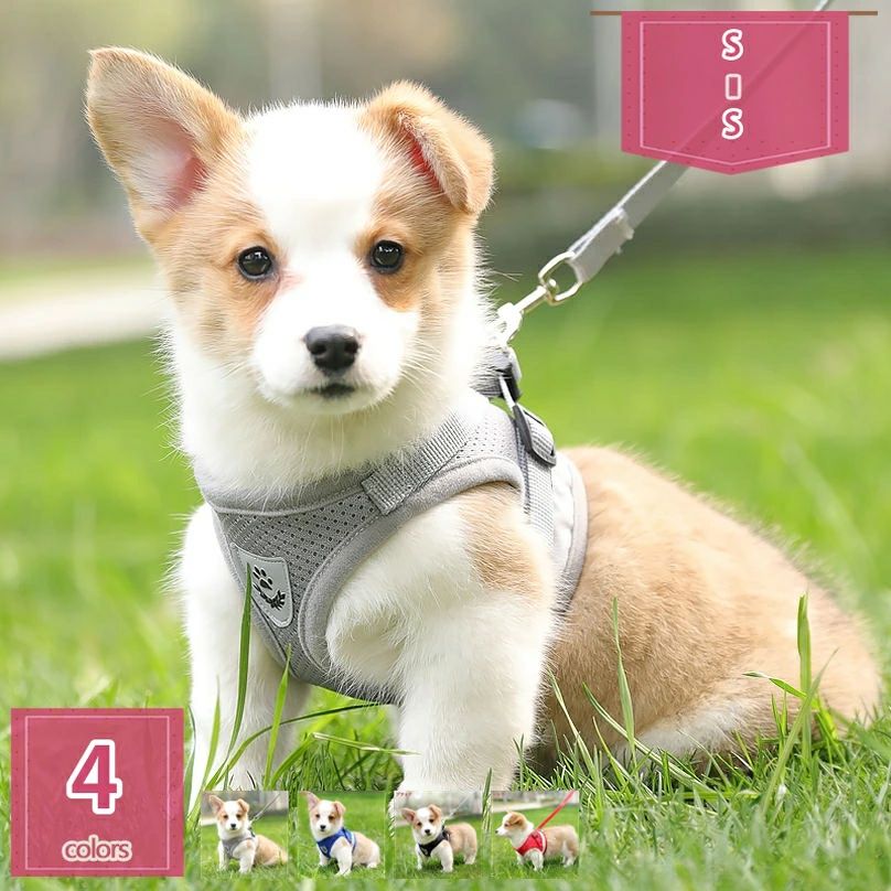 300円OFFクーポン ペットハーネス 犬用ハーネス 胴輪 小型犬 猫用 ハーネスセット リード おしゃれ 可..