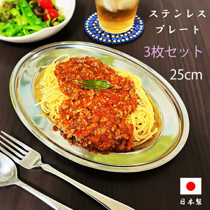 【3枚セット】ステンレス プレート 10吋 日本製 燕三条 料理 洋食 パスタ 餃子 喫茶 業務用 レトロ ランチ ディナー 小判皿 食器 おしゃれ お皿 カレー 平皿 中皿 25cm 洋食 皿 母の日 ワンプレート アウトドア 綺麗 高級感