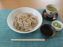 丼 鳴門《白 小》 麺鉢 冷麺丼 ざるそば 冷やし中華皿 アウトレット込み カフェ 和食器 陶器