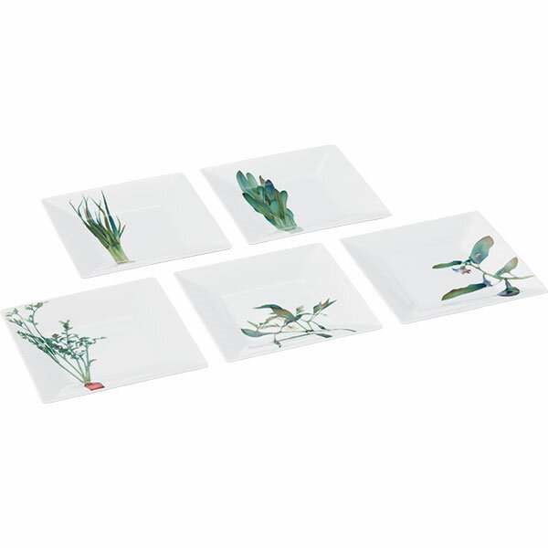 乐天商城 - ノリタケ〜Noritake〜KYOUKASYUNSAI京香旬彩15cmスクエアプレート（絵変り5枚）ギフトボックス入り
