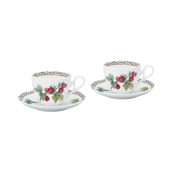 ノリタケ〜Noritake〜オーチャードガーデン(ORCHARD GARDEN)ティー・コーヒー碗皿ペアギフトボックス入り