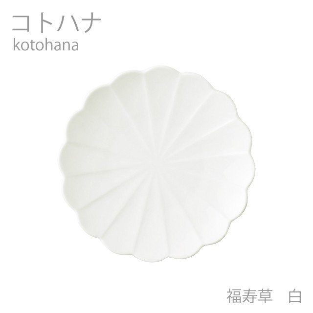 Rakuten - 食器 おしゃれ プレート コトハナ 17皿 福寿草 想いを伝える花のうつわ 記念日 贈り物 日本製