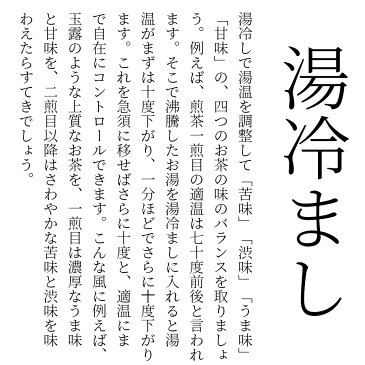 常滑焼 急須 0-110 玉光 朱泥桜横手 湯冷まし 280ml 美味しいお茶のひと工夫 日本製 箱入り T1643