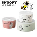 スヌーピー 食器セット おしゃれ プレゼント 2025 レンジ保存容器 3点セット 結婚祝い 誕生日 実用的 父の日