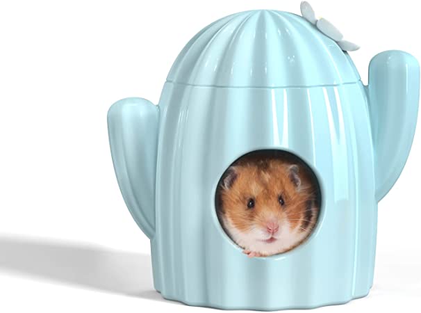 ハムスター 陶器ハウス サボテン型 隠れ家 セラミック かわいい 涼感 快適 クッション付き 大きめ L/S..