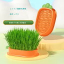 【2個セット】水耕栽培猫草 植栽水耕ボックス 猫草栽培セット レイヤードデザイン トレイ発芽コンテナー 室内猫用 キャットグラストレー 猫草キット 猫用植物