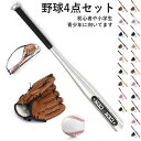 野球バットベースボール 野球練習野球バット+グローブ+ボール+収納袋4点セット少年/大人用 小学生/中学生/高校生用 野球用品 硬式 初心者 トレーニングバット...