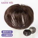 パール化研 パールクィーン パウダーヘアファンデーション 【　ブラウン　】　8g　｜　ヘアスタイリング剤 / 薄毛隠し　｜　ヘアファンデーション 薄毛 禿げ はげ 白髪隠し 増毛粉 増毛パウダー 分け目 【PK】