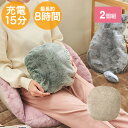 蓄熱 充電式 エコ 湯たんぽ あったか ネコライク ノーマルタイプ 2個組(グレージュ1個+グリーン1個) - コードレス 蓄熱式 ゆたんぽ 充電 ぬくぬく カ...