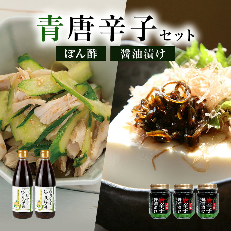 青唐辛子商品セット 青唐辛子にごりぽん酢 青唐辛子醤油漬け 青唐辛子 ポン酢 ぽん酢 柚子 ゆず かぼす 九州産 唐辛子 調味料セット 辛味調味料 万能調味料 鍋つゆ つけだれ 焼き魚 和風調味料 発酵調味料 国産 日本製 お取り寄せ グルメ 詰め合わせ 万能だれ ギフト