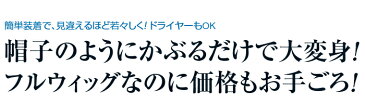 帽子のようにかぶれる フルウィッグ - ヘア ウィッグ かつら メンズ 男性用 男性 紳士用 白髪 安い 全頭 全頭かつら ショート 自然 頭囲 60cm 簡単 装着 気軽 中年 シニア 黒髪 ストレート 50代 60代 帽子ウィッグ 医療用 人工毛 耐熱
