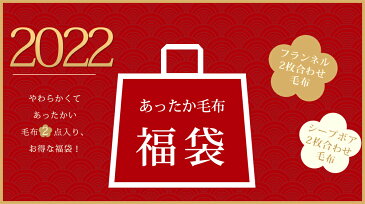 福袋　2020年　色お任せ・数量限定【毛布2点入り+おまけ1点】HAPPY　BAG　2020年福袋　2枚合わせ毛布　冬生活応援　毛布セット 羽毛布団と重ね使いであったかい　冬用ブランケットにも　かけ布団と重ねて使用　もうふ　お昼寝布団にも　無地でシンプル