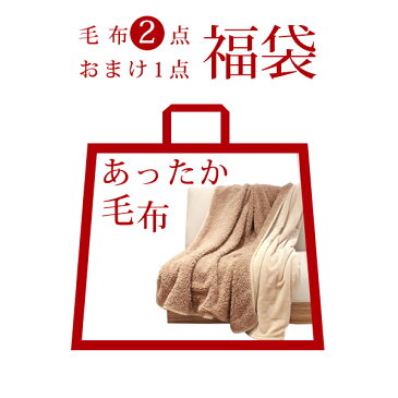 福袋　2020年　色お任せ・数量限定【毛布2点入り+おまけ1点】HAPPY　BAG　2020年福袋　2枚合わせ毛布　冬生活応援　毛布セット 羽毛布団と重ね使いであったかい　冬用ブランケットにも　かけ布団と重ねて使用　もうふ　お昼寝布団にも　無地でシンプル