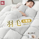 掛け布団 ダブル 冬 羽毛 布団 ダブル 羽毛布団 に負けない暖かさ ダブル掛け布団 掛け布団ダブル 羽根布団 ダブル 布団 羽毛掛け布団 ダブル 羽布団 ダブル 掛け布団 掛ふとん かけ布団 掛布団 ダブル 布団 羽毛 掛け布団 掛ふとん ぶとん