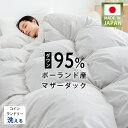 セール延長15%クーポン 羽毛布団 シングル 掛け布団 ポーランド産ダウン95% 羽毛布団 冬用 羽毛ふとん 羽毛掛け布団 シングル 羽毛 掛け布団 シングル 羽毛掛布団 シングル 羽布団 羽毛 布団 ダウン 羽根布団 シングル 羽毛布団シングル 羽毛ぶとん 掛け布団 羽毛 NENEKO