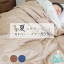 クーポンで5％OFF ダウンケット 羽毛肌掛け布団 ダウン85％ 薄い 羽毛布団 夏用 羽毛布団 夏 ダウンケット 夏用 夏布団 肌掛け布団 羽毛 肌掛け布団 ダウン ケット 夏用掛け布団 洗える羽毛布団 夏掛け布団 羽毛布団 シングル ダウンケット シングル 夏用 掛け布団 羽毛