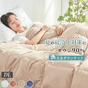 500円OFFクーポン ダウンケット ダブル 羽毛布団 夏用 ダブル 高品質ダウン90％ 羽毛布団 ダブル 夏掛け布団 ダブル 夏布団 ダブル 肌掛け布団 ダブル 夏用 掛け布団 ダブル 掛け布団 ダブルサイズ 洗える羽毛布 薄手 羽毛 布団 羽毛肌掛け布団 ダブル 薄い 羽毛布団