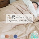 クーポンで5％OFF 羽毛布団 夏用 ダウンケット シングル 高品質ダウン90％ 夏布団 夏用羽毛布団 薄い 羽毛布団 夏 羽毛肌掛け布団 肌掛け布団 羽毛 夏掛け布団 布団 夏用 掛け布団 シングル 洗える羽毛布団 薄手 羽毛 布団 夏用 肌掛け布団 洗える 薄い 羽毛布団 シングル