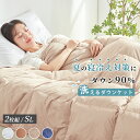 ダウンケット 羽毛布団 夏用 5000円1枚相当 ダウン90％ 夏用掛け布団 夏布団 夏掛け布団 夏用羽毛布団 肌掛け布団 羽毛 羽毛肌掛け布団 夏 掛け布団 洗える羽毛布団 夏用 掛け布団 羽毛 夏用 羽毛布団 夏 洗える ダウンケット 洗える ダウン ケット