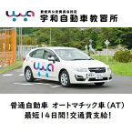 普通自動車免許　オートマチック車　AT車　※準シーズンB入校限定　合宿免許愛媛県西予市