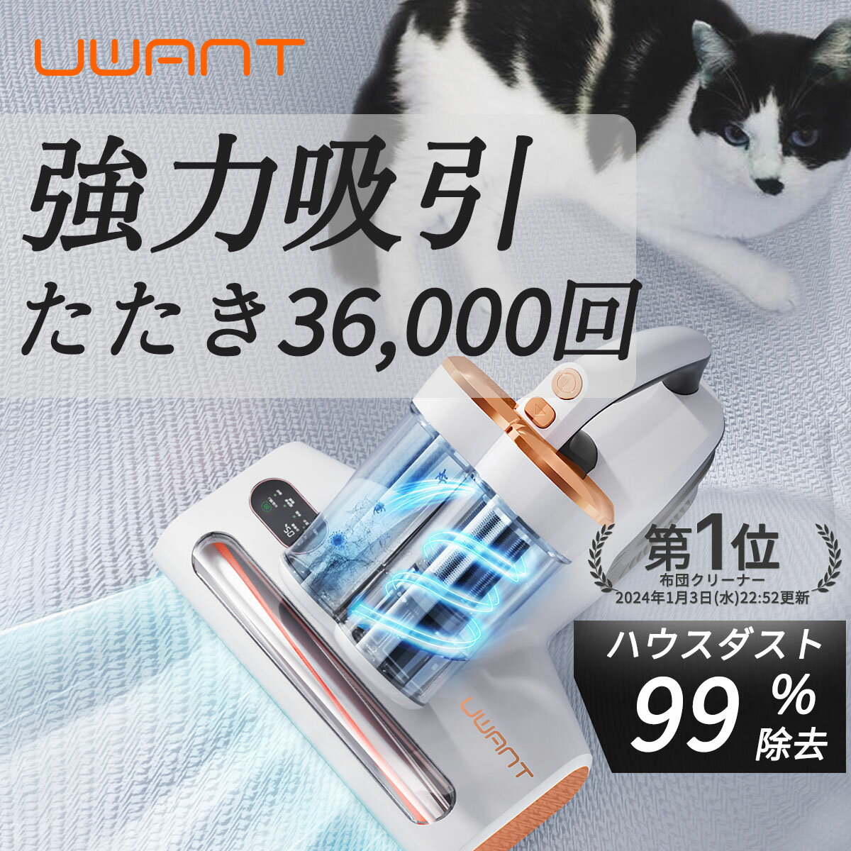 SALE特典+1,000円クーポン【 UWANT 公式