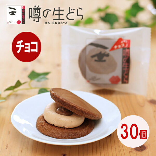 【噂の生どら(チョコ) 義理チョコセット 30個】 どら焼き 生どら焼き どら焼 どらやき チョコ 和菓子 ギフト 高級 お取り寄せ 詰合せ 送料無料 お菓子 プレゼント 贈り物 お礼 まとめ買い お返し お礼 プチギフト 冷凍 手土産 個包装 バレンタイン 義理チョコ 友チョコ