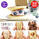 噂の生どら ブルーベリー 10個 セット どら焼き 手土産 お中元 ギフト 生どら焼き どら焼 どらやき プリン 抹茶 チョコ 和菓子 高級 お取り寄せ 詰め合...