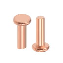 uxcell クリップ リベット ファスナー リテーナクリップ フラットヘッド銅ソリッド M2.5x 8 mm 100個入り