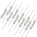 uxcell 速断ヒューズ リード線 セラミックヒューズ 6mm x 32mm 250V F10A 10個入り
