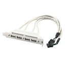 uxcell PC マザーボード USB ケーブル USB2.0 9ピン ヘッダーと 4 ポート A メス アダプター グレーン(2)