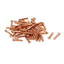 uxcell 銅ソリッドリベット 2mm x 12mm 円形ヘッド 13mmの長さ ゴールドトーン 40個入り