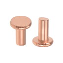 uxcell クリップ リベット ファスナー リテーナクリップ フラットヘッド銅ソリッド M2.5x5 mm 100個入り(4)