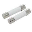 uxcell セラミックヒューズ 低遮断容量 半導体装置 6 x 30mm 1パック100個