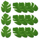 PATIKIL 5.5