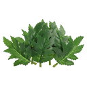 PATIKIL 8 x 5 cm 人工シルク菊の葉 40個 人工緑のフェイクリーフ