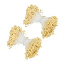 PATIKIL 2.5 mm 双頭花おしべ 680個 造花 おしべ めしべ クッションパール フローラルおしべ IY クリスマスカード 結婚式の装飾用 ライトイエロー