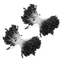 PATIKIL 2.5 mm 双頭花おしべ 680個 造花 おしべ めしべ クッションパール フローラルおしべ IY クリスマスカード 結婚式の装飾用 黒
