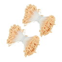 PATIKIL 2.5 mm 双頭花おしべ 680個 造花 おしべ めしべ クッションパール フローラルおしべ IY クリスマスカード 結婚式の装飾用 ベージュ
