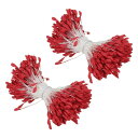 PATIKIL 2.5 mm 双頭花おしべ 680個 造花 おしべ めしべ クッションパール フローラルおしべ IY クリスマスカード 結婚式の装飾用 ローズレッド