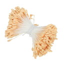 PATIKIL 2.5 mm 双頭花おしべ 340個 造花 おしべ めしべ クッションパール フローラルおしべ IY クリスマスカード 結婚式の装飾用 ベージュ